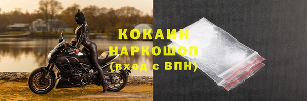 apvp Алексин