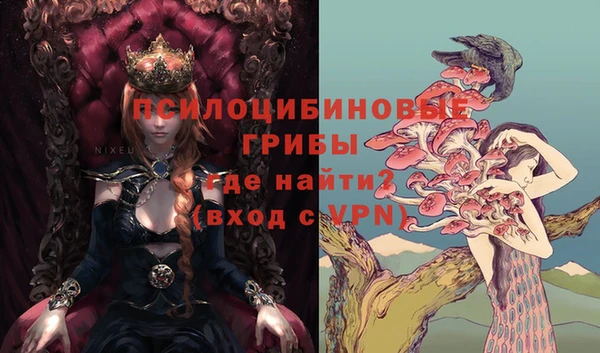 apvp Алексин