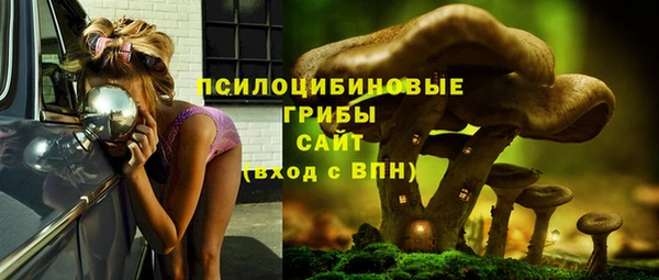 apvp Алексин